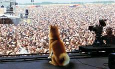 Доджкойн поколението 