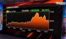 Ървин: Цените на царевицата зависят от валежите