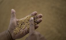 Да платиш дълга или да нахраниш хората е невъзможният избор на гладуващите нации