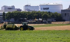 BASF може да листне на борсата подразделението си за агрохимикали 