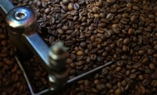 Аначков, Bug Coffee: Няма причини за поевтиняване на кафето, само за поскъпване 