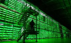 Най-големият спад в цената на биткойн от март разклати вярата в криптобума