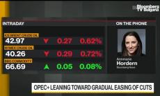 ОПЕК предприема мерки, за да избегне нов срив в цената на петрола