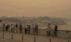 Моделите не отчитат всички рискове от фалит за инвеститорите в облигации