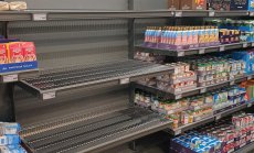 Кризата с яйцата във Великобитания разкрива предстоящ недостиг на храни