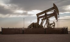 Петролът поскъпва от петмесечното дъно заради промяната в курса на Фед