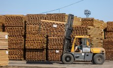 Да хванете крадец на стоки 