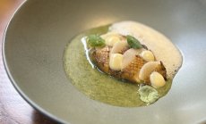 Глобалният глад за пилешко: примиряваме се с претъпкани курници и риск от епидемии