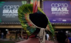 Как светът тихичко печели битката за климата