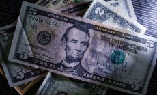 Къде инвестиционните мениджъри влагат парите си в нестабилната среда на 2024 г.