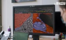 Да картографираш човешкия мозък, част 4