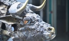 БФБ пуска новия борсов индекс beamX