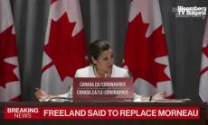 Предизвикателствата за Фриланд, част 1