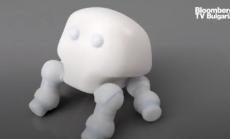 Български стартъп разработва роботизиран домашен любимец 