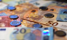 Еврото е плашило за хора, които принизяват дебата до нивото на селска кръчма 