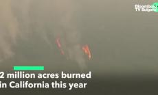 Ветровете на Санта Ана разпространяват пожарите в Калифорния