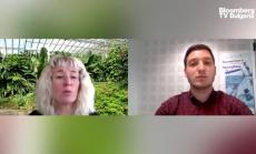 Исландия отглежда банани чрез геотермална енергия