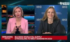 МАЕ предупреждава за глобалното търсене на петрол, част 1