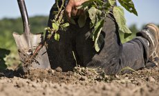 Започва програмата за COVID помощи за фермерите за 72 млн. лв.