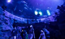 Робот е достигнал дъното на Марианската падина