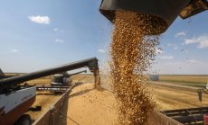 Световната продоволствена криза е на прага ни - войната води след себе си глад