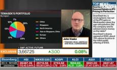 Инвестиционната стратегия на Temasek