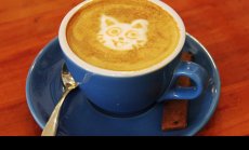 Да продаваш „dolce vita” на Китай