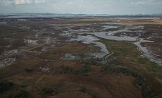 Фермерите, страдащи от глобалното затопляне, се чувстват предадени от COP29