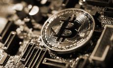 Как двама братя станаха криптомилионери след инвестиция в шиба ину койн