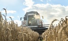 Цените на храните възобновяват спада въпреки продължаващите заплахи за доставките