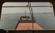 Руските доставки на пшеница се забавят, докато Украйна увеличава износа