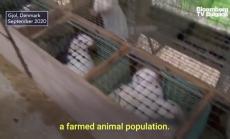 Какво ще търси СЗО в Ухан