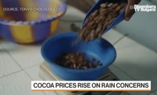 Tony’s Chocolonely: Лоши практики вдигнаха цената на какаото