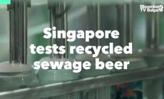 Сингапур тества бира от рециклирани отпадни води
