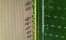 Българският AI стартъп, който преобразява земеделието със синтетични данни