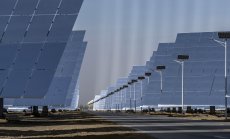 AI и бизнес логиката тласкат света към ВЕИ