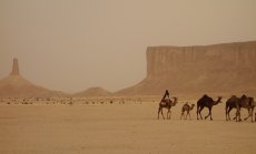 Саудитска Арабия съобщава, че над 1300 поклонници са починали при екстремни горещини