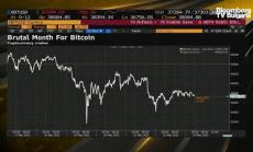 Сайди: Крипто стана дигиталното лале