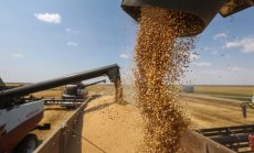 Суровините достигат нови върхове, след като търговците отказват да купуват от Русия