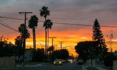 Проблемът не е в размера на глобите, а в събираемостта им