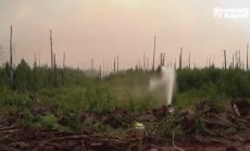 Димът от пожарите в Русия е достигнал Северния полюс