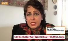 Петролният разлив край остров Мавриций, част 2