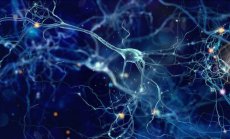 Това е моят мозък