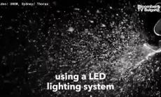 Коя е най-добрата ръчнонаправена маска