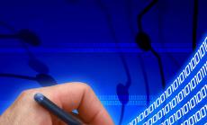 Недостиг на гъвкави и адекватни IT кадри в България