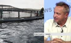Какво е да инвестираш в първата българска ферма за сьомга