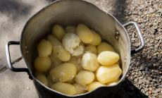 ООН: Проблемът с глада се влошава в глобален мащаб 