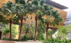 Нови градове за затоплящия се климат, част 3