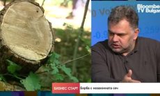 Разрешаването на сеч без маркиране и промяна на статута на земята крие много рискове