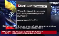 Ослунд: НАТО може да направи различни неща и едва ли ще тръгне силово веднага
